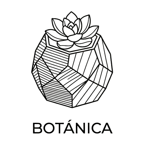 Macetas de diseño para naturaleza interior